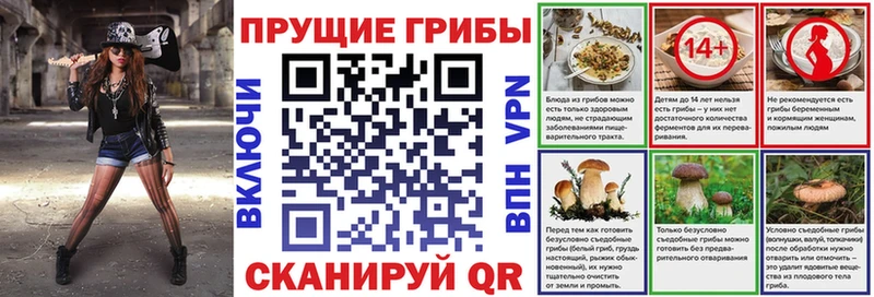 дарнет шоп  Фокино  ссылка на мегу как войти  Галлюциногенные грибы мухоморы 