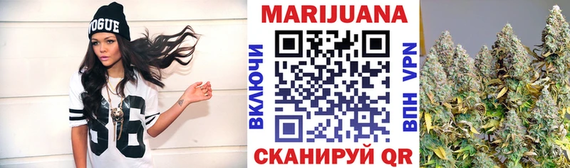Бошки марихуана план  Фокино 